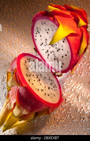 The Pitaya or Dragon Fruit (Hylocereus undatus) is native to Mexico and Central and South America, al;though it is also cultivated in many southeast A Stock Photo