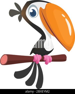 Funny toucan cartoon. Vector toucan bird sitting on the branch. Illustration isolated Stock Vector