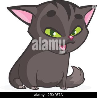 Cartoon witch black cat illustration. Vector isolated. Halloween design Stock Vector