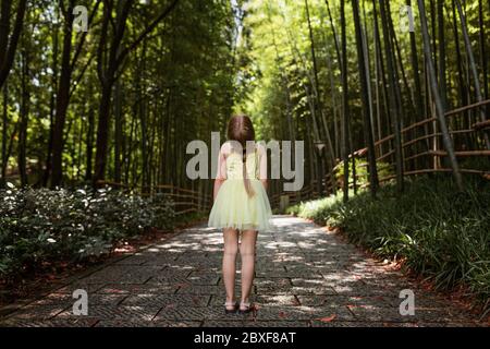 Cute little girl in yellow tutu dress standing in bamboo forest in China. Kid with blonde hair from behind outdoor Stock Photo