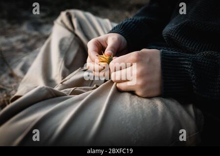 child's hand holding a yellow flower Stock Photo