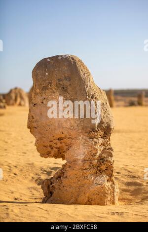 A limestone stack in the Pinnacles desert in the Nambung national park located north of Perth in Western Australia Stock Photo