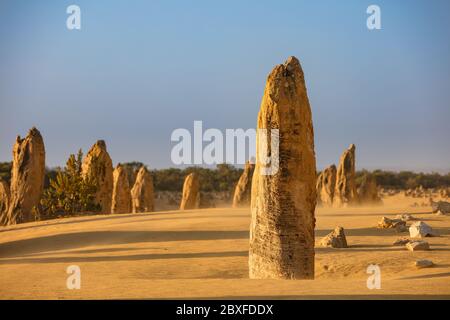 A limestone stack in the Pinnacles desert in the Nambung national park located north of Perth in Western Australia Stock Photo