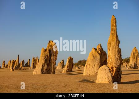 Limestone stacks in the late afternoon light in the Pinnacles desert in the Nambung national park located north of Perth in Western Australia Stock Photo
