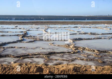 Salt production at a factory from the Atlantic Ocean on the coast near Walvis Bay, Namibia. Stock Photo