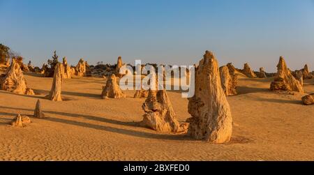 Limestone stacks basking in the late afternoon light in the Pinnacles desert in the Nambung national park located north of Perth in Western Australia Stock Photo
