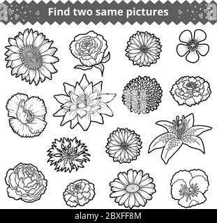 Find two the same pictures, education game for children. Colorless set of flowers Stock Vector