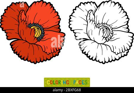 poppy illustration of blossom flower coloring book page line art design ...