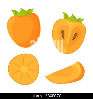 Colorful bright set of whole, half, slice and quarter persimmon. Vegan, fruit, vitamin, eco food, organic agriculture concept. Stock vector Stock Vector