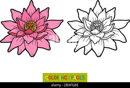 Coloring book for children, flower Lotus Stock Vector Image & Art - Alamy