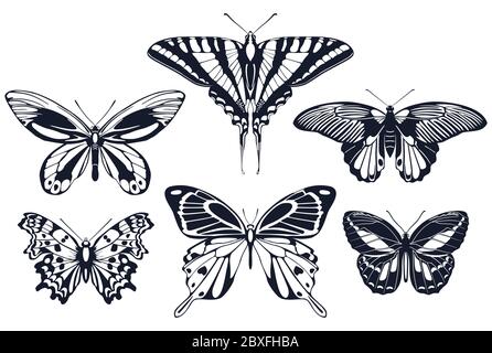 Set of butterflies icons with patterns on the wings. Vector illustration Stock Vector