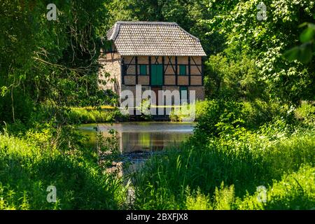 D-Schermbeck, D-Schermbeck-Altschermbeck, Lower Rhine, Muensterland, Hohe Mark Westmuensterland Nature Park, Rhineland, North Rhine-Westphalia, NRW, Upper Mill, New Mill, watermill, Upper Mill Pond Stock Photo