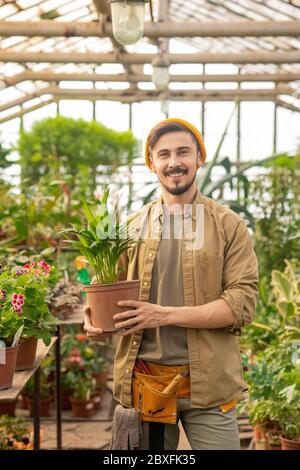 Portrait of cheerful young greenhouse man with beard and mustache holding potted plant in hothouse Stock Photo