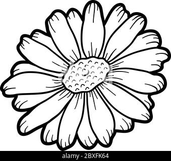 Coloring book for children, flower Chamomile Stock Vector