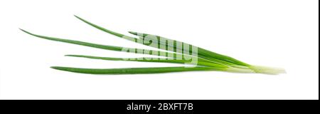 Fresh green onion, raw leaves of onion isolated on white background, top view Stock Photo