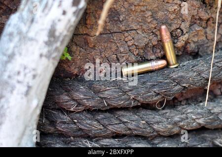 .22 LR is effective to 150 yards or 140 m., though practical range tends to be less. Stock Photo