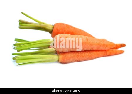 The immature roots of the carrot plant on white background Stock Photo