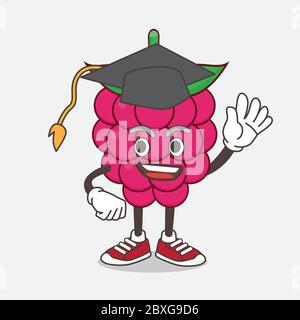 An illustration of Raspberry Fruit cartoon mascot character in a black Graduation hat Stock Vector