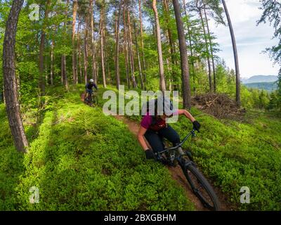 Man and woman mountain biking through the forest, Klagenfurt, Carinthia, Austria Stock Photo