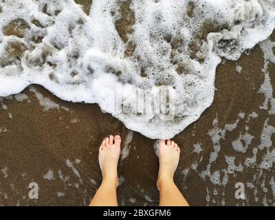 Overhead view of a woman standing on beach in the ocean surf, Italy Stock Photo