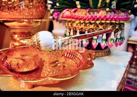 Conch was decorated with gold, used as the equipment for thai wedding style. Stock Photo