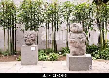 Totonacs stone sculptures on display at the Museum of Anthropology in the historic center of Xalapa, Veracruz, Mexico. The Totonac civilization were an indigenous Mesoamerican civilization dating roughly from 300 CE to about 1200 CE. Stock Photo