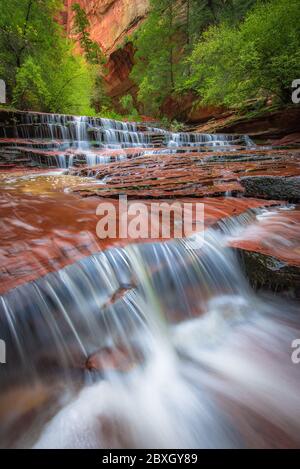 Archangel Falls on the left fork of the North Creek (Subway) trail, Zion National Park, Utah Stock Photo