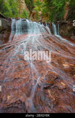 Archangel Falls on the left fork of the North Creek (Subway) trail, Zion National Park, Utah Stock Photo