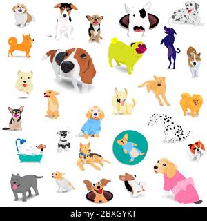 Seamless pattern of dogs, beagle, jack russell terrier, pitbill, bulldog, Thai bangkaew, dalmatian, adorable and friendly animal on white background. Stock Vector