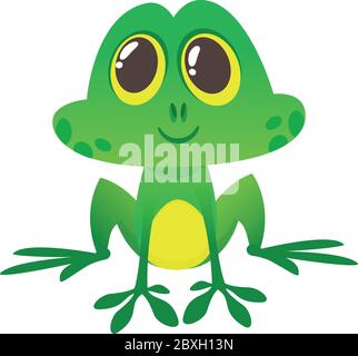 A frog is sitting on a white background. Isolated illustration frog in a cartoon style. Stock Vector