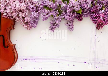 Violin and flowers of lilac on a white wooden background. Stringed musical instrument. Stock Photo