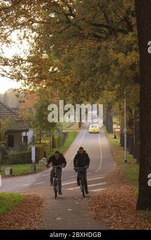 Two boys riding bike after school on a road bordered by trees, outside Eindhoven, Netherlands Stock Photo