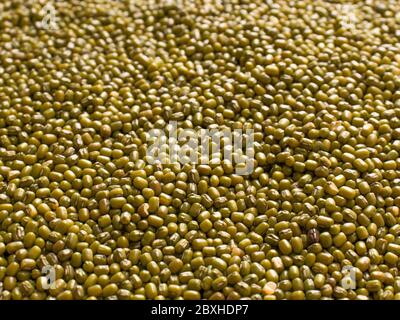 moong dal isolated stock images Stock Photo