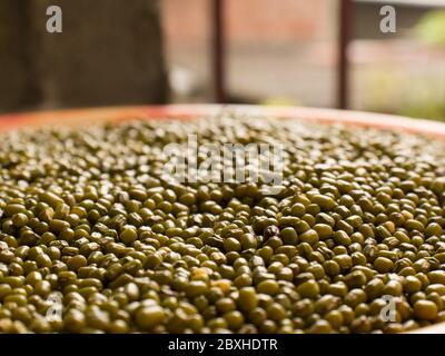 moong dal isolated stock images Stock Photo