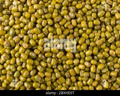 moong dal isolated stock images Stock Photo