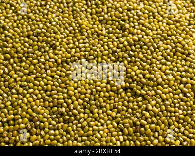 moong dal isolated stock images Stock Photo