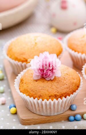 Homemade cupcakes on the table. Party dessert Stock Photo