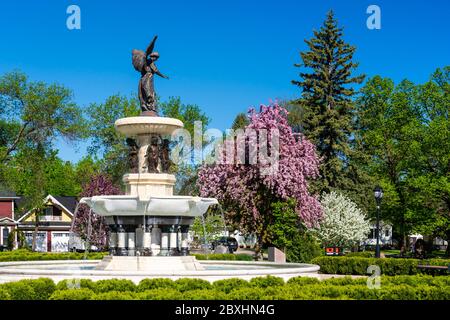 Spring blossoms at the Bethel Heritage Park in Winkler Manitoba, Canada. Stock Photo