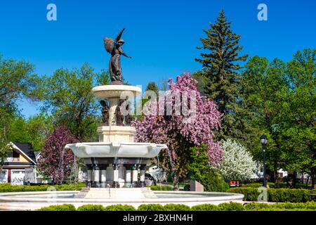 Spring blossoms at the Bethel Heritage Park in Winkler Manitoba, Canada. Stock Photo