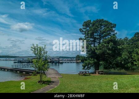 A couple of picnic tables under a large tree with docks and moored boats of all kinds in the background on a bright sunny day in summer Stock Photo