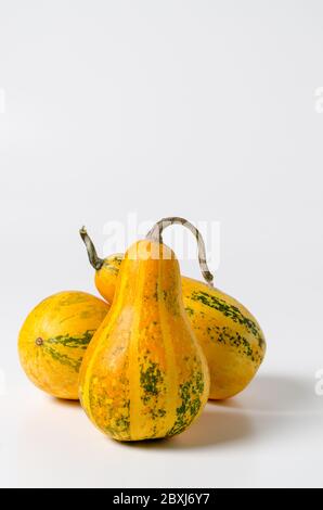 Three yellow pumpkins isolated on white background. Autumn vegetable harvest. Stock Photo