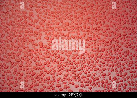 Water drops on red surface Stock Photo