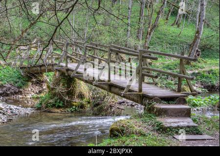 Under the wooden bridges the mountain stream Gauchach flows quietly through a wild and romantic gorge. Stock Photo