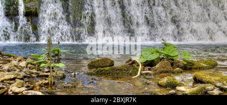 Artificial waterfall in the Gauchach gorge Germany. Stock Photo