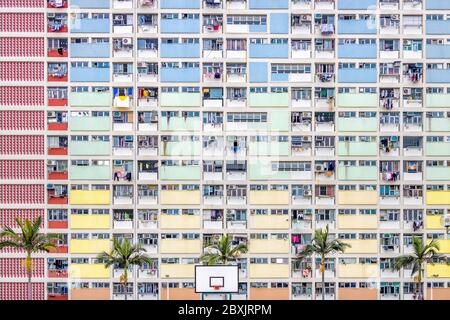 Abstract View of Dense Rainbow Coloured Housing with Palm Trees on Summers Day in Hong Kong Stock Photo