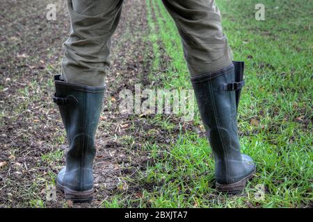 Between the fields. A farmer stands with his rubber boots on two different fields. Stock Photo