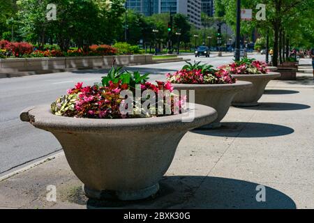 Michigan Avenue Streetscape: 20 Years of Magnificent Mile Blooms