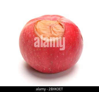side view rotten apple on a white background Stock Photo - Alamy