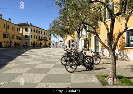 View of Vittorio Emanuele square in the old town on the shore of Lake Garda with bicycles parked under olive trees, Lazise, Verona, Veneto, Italy Stock Photo