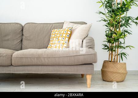 On the corner of the living room a sofa with green plant on the side. Yellow pillow on gray couch. Modern interior contemporany style living room. Stock Photo